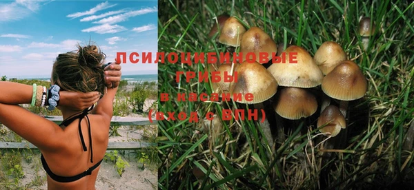 PSILOCYBIN Баксан