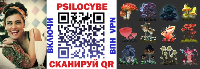 даркнет Telegram  Михайловск  Галлюциногенные грибы Magic Shrooms 